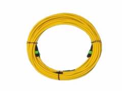 MPO/MTP Patch Cord & Trunk Cable